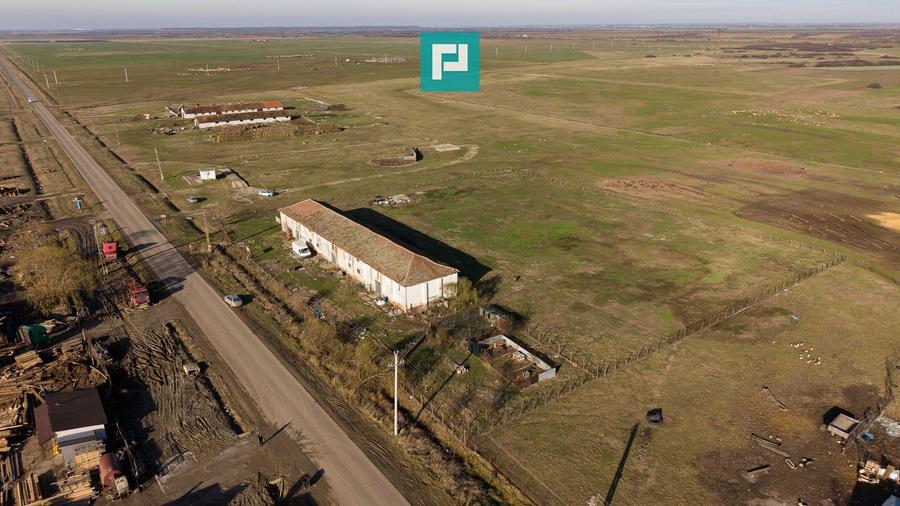 Hală industrială cu teren generos în Zărand, Arad - 59