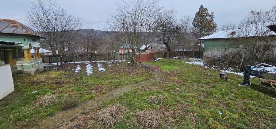 VÂNZARE MOȘIE – Sat Mitrofani, Comuna Mitrofani, jud. Vâlcea - 14