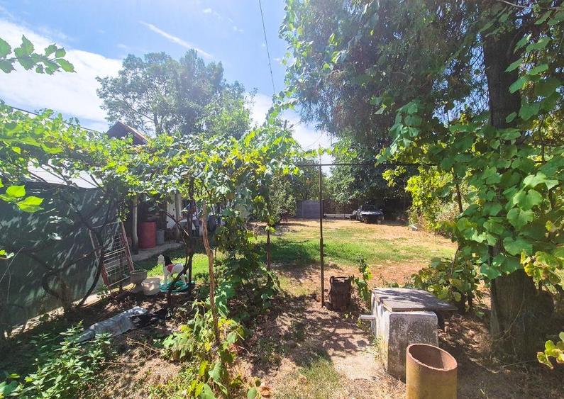 Casa , teren intravilan Urlueni Barla Arges - 15