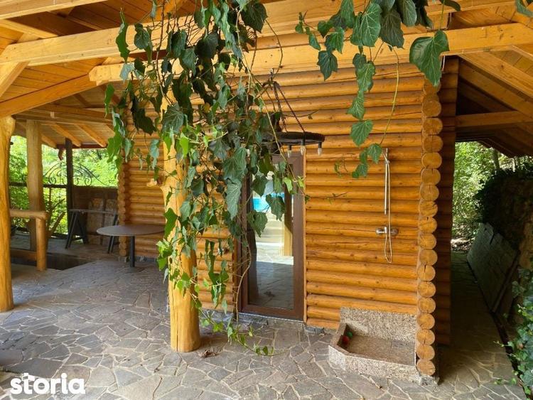 Domeniu exclusivist 17.000 mp | Vila luxury cu piscina & SPA Carbu - 14