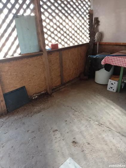 Vand apartament 3 camere - 10