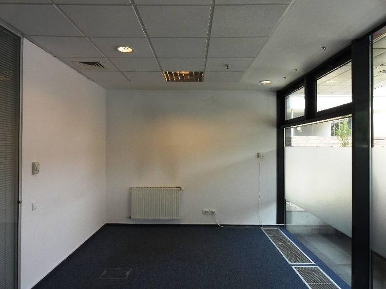 Banu Antonache 40-44, Floreasca, 219 - 1109 mp  0% comision! - 14