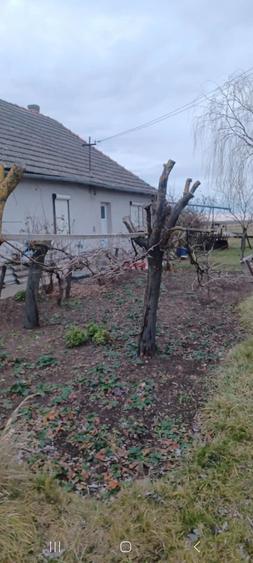 Casă cu 3 camere cu Teren 3000 Mp în Caporal Alexa