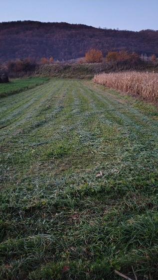 Teren intravilan la 12 km de Alba Iulia - 1