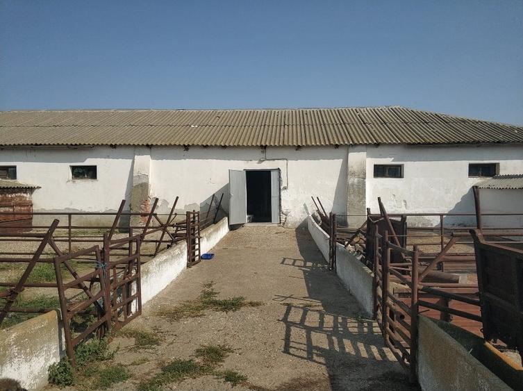 Ferma cu hale 3000 mp si teren 12000 mp, 30 km de Constanta - 10