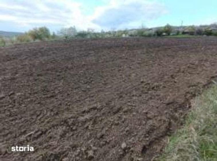 Teren intravilan Comarna, ID: R3075287 - 4