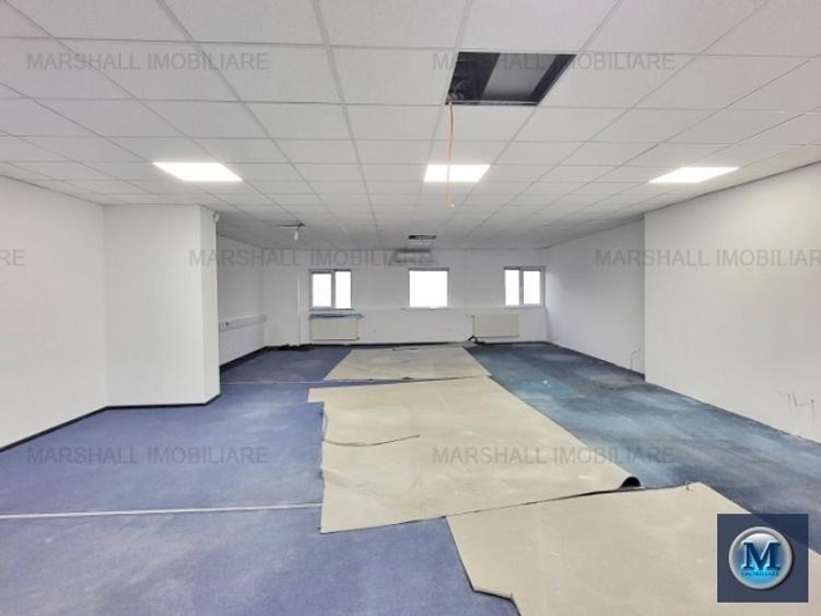 Spatiu industrial de vanzare in Aricestii Rahtivani #16443 - 7