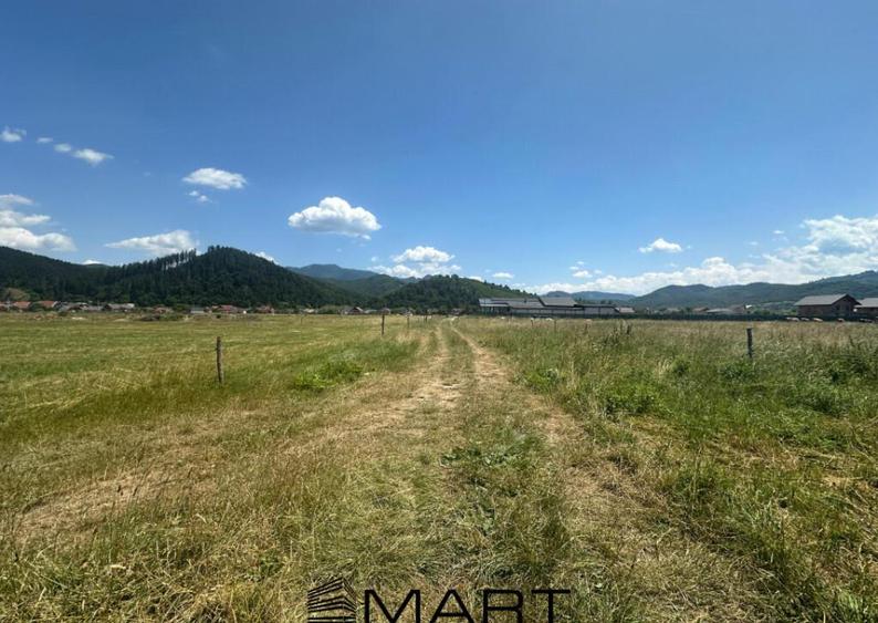 Teren Intravilan Rasnov 7.500 mp - 2