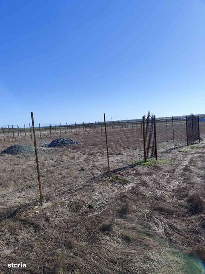 Vanzare teren Techirghiol - 6