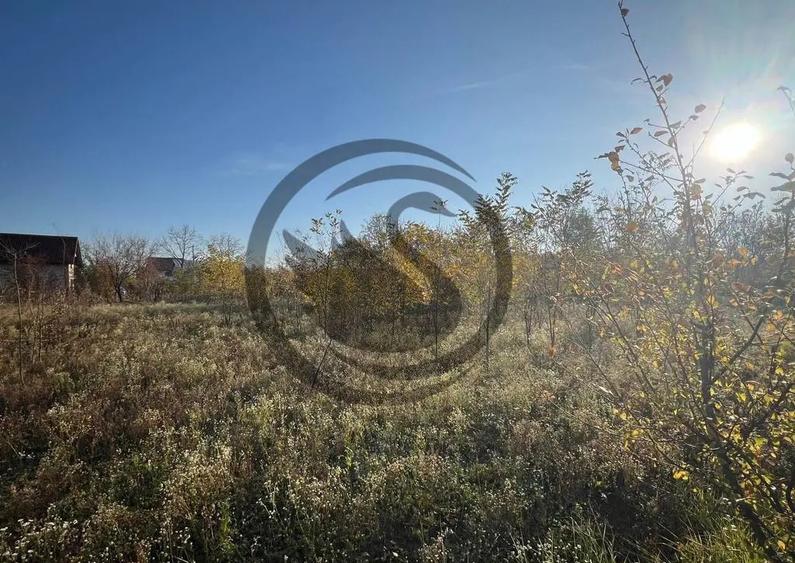 Teren intravilan de vanzare | 12.650 mp | Ghirdoveni, | C... - 7