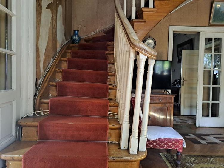 Cotroceni-Parcul Romniceanu, singur curte, garaj, curte generoasa - 14