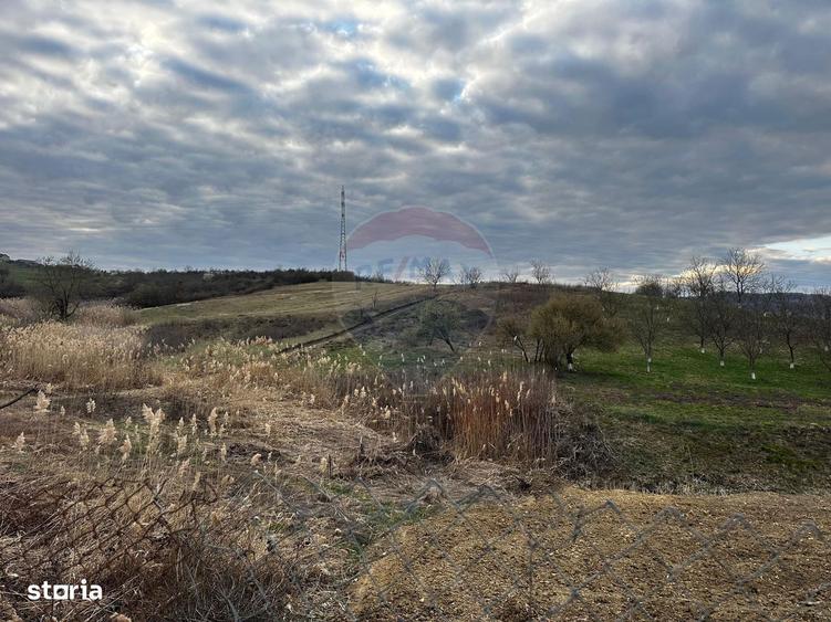 Teren cu panorama superba in Berchezoaia + bonus rulota - 4