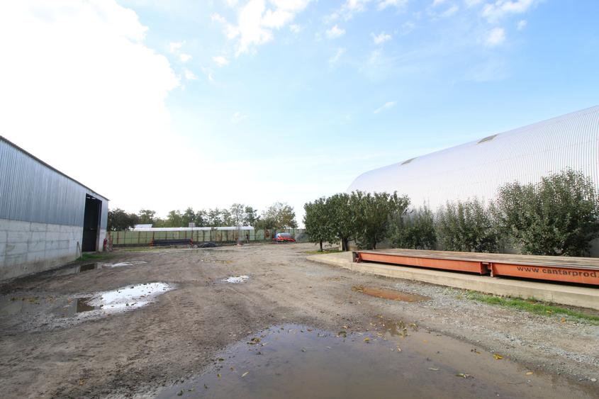 Baza de cereale in functiune , 4500 mp intravilan + 2 depozite (aprox 1000mp) - 6