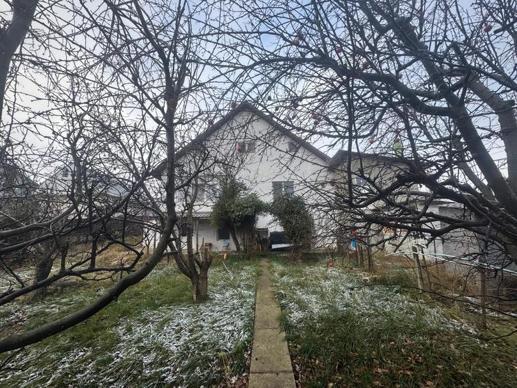 Tomesti - Osoi, vila cu spatiu comercial la parter , 2400mp teren cu iaz si pomi - 1