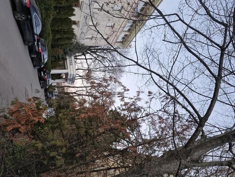 Fabric-aproape de Pia?a Badea Car?an - 1