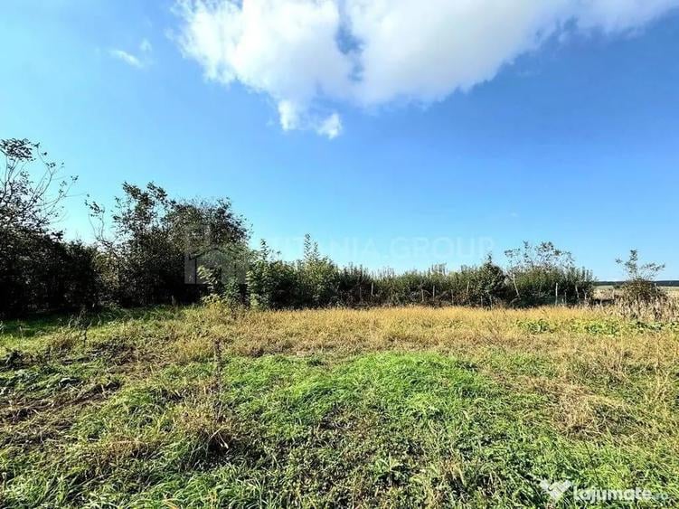 Livada+gradina, teren intravilan 2902mp, Damienesti-Bacau... - 8