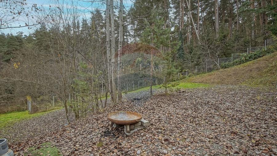 Vila moderna cu vedere spre padure Poiana Angelescu - 50