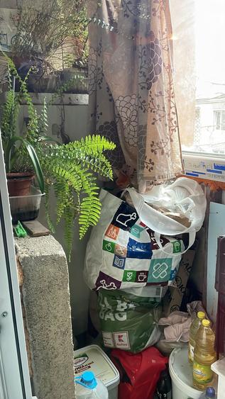 Colentina Teiul Doamnei - 5