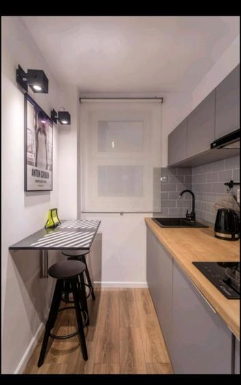 Apartament lux 2 camere 690 Euro Athenee Calea Victoriei Sala Palatului Cismigiu - 9