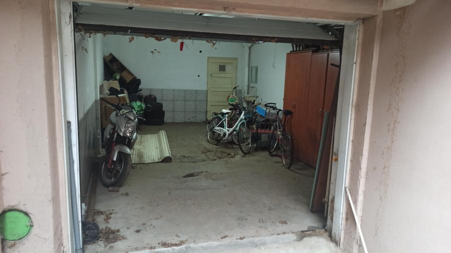 Dacia - Dumbrava Rosie ( Parc Ioanid ) - 8