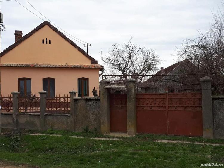 Vand casa la tara cu 2.800 mp teren Chislaz, jud. Bihor - 6