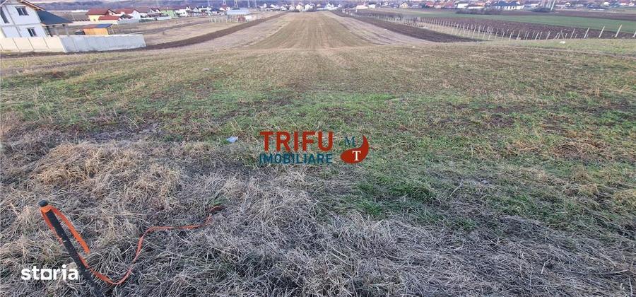 Teren de vanzare Zona Barabant! - 4