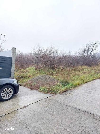 Teren Bucium 3 min de Hanul 3 sarmale, la Soseaua Barnova - PROPRIETAR - 6