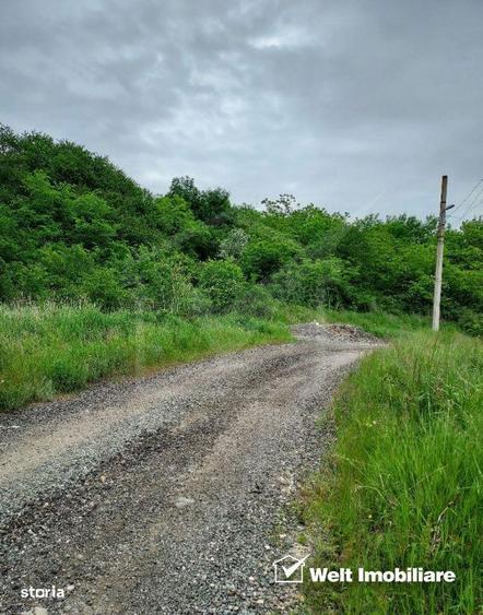 Teren de vanzare in Campenesti - 1