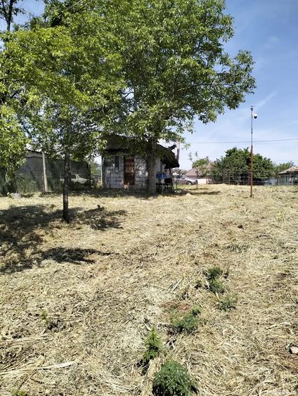 Casa de vanzare Baneasa - 5