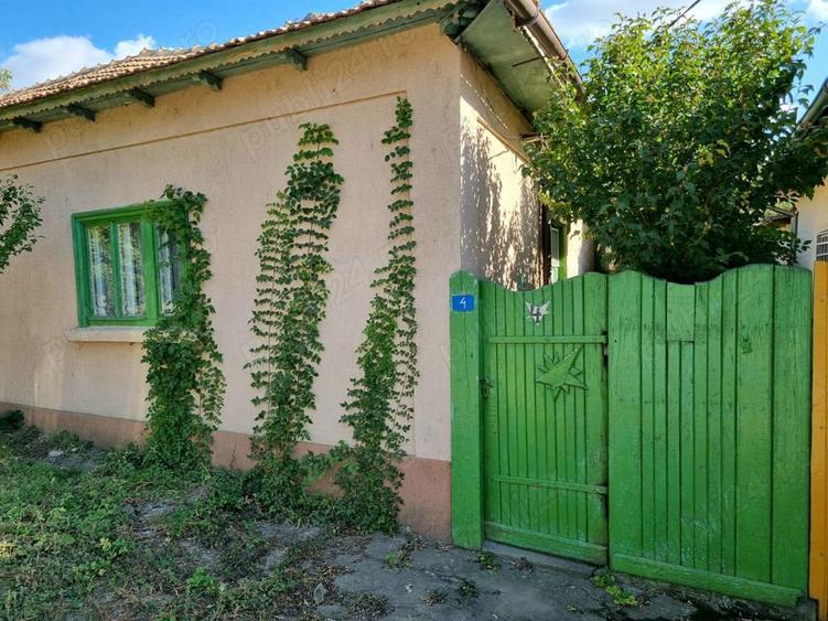 Cerna-Vand casa batraneasca 18 000 Euro negociabil - la 15 km de Dunare - 10