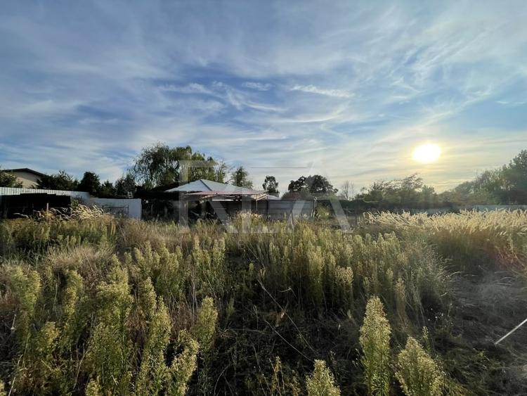 O oportunitate rara in Corbeanca - zona linistita, aproape de Padurile Regale - 6