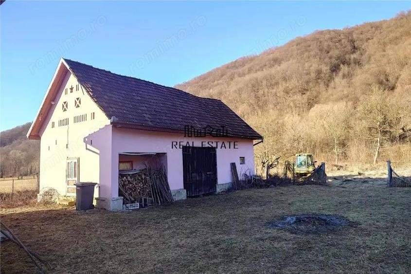 Proprietate in Apuseni - fosta pizzerie, ideala pentru afacere sau locuinta - 8