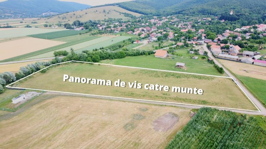 Teren Intravilan 1000 mp Bicfalau - 8