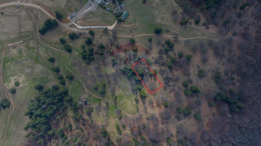 Teren Poiana Brasov, langa Stana turistica 1872mp, PUZ case/ pensiuni - 9