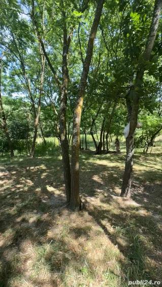 Teren de 4630 mp, în Rădmănești