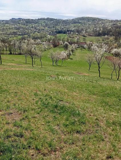 Teren de 2800 mp, în Ormindea