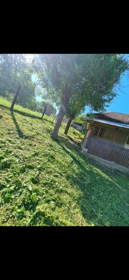 Teren si casa+ anexe de vânzare  - 2