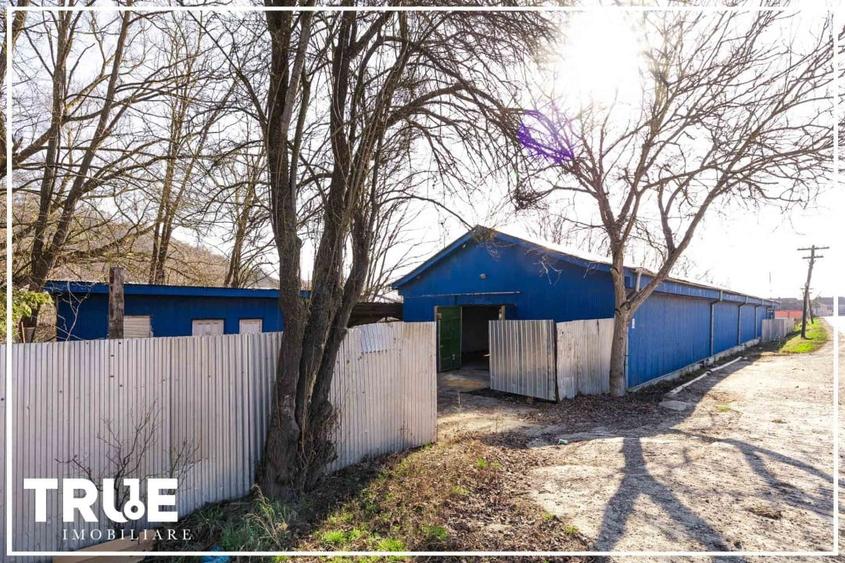 Hală de producție și depozitare - Voiniceni, Mureș - 5