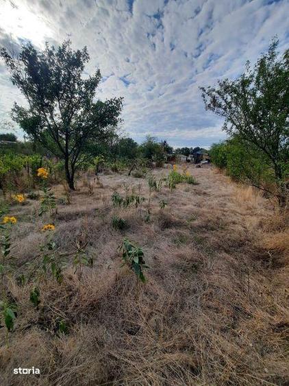 Vind casa si teren in Colacu,jud.Dimbovita - 7