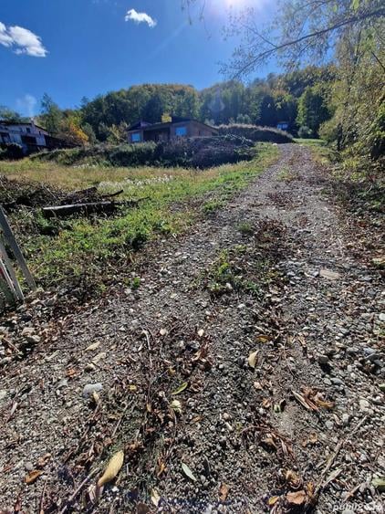 Casa in Vladesti - 10