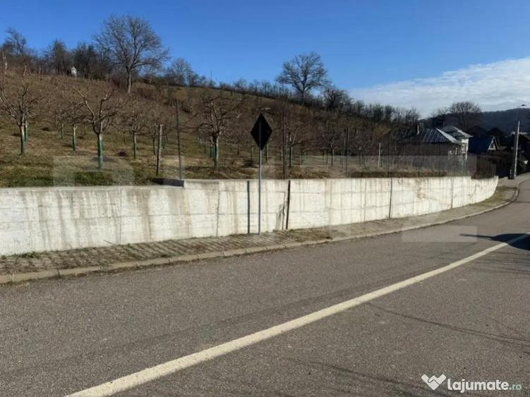 Teren de vanzare, Zona linistita, ideal construire - 2