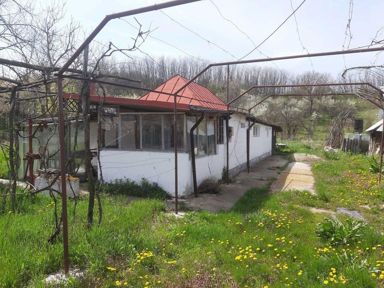 Casa curte 1800m2 zona Colonesti, Olt tel.0733829402 - 7