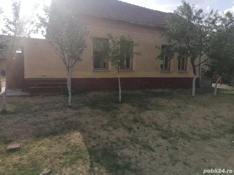 Casa de Vanzare Arad com. ?iclau. - 5