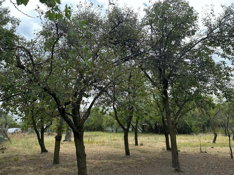 Stefanesti-sat Viișoara, Argeș, teren intravilan racordat la toate utilitățile - 6