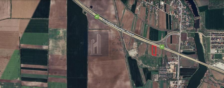 Teren 2727mp | Moara Vlasiei, Caciulati | A3 - 1