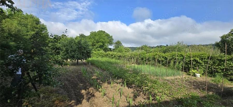 Casa de vanzare Livezile - 5