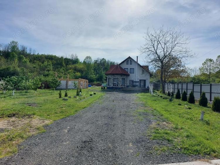 Vand in Jud Olt,Colone?ti casa ?i teren - 10