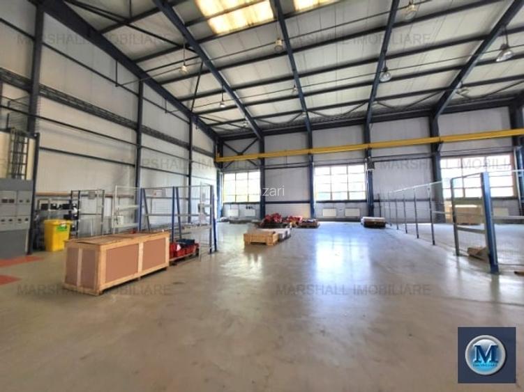 Spatiu industrial de vanzare in Campina, zona Central, 4600 mp #16268