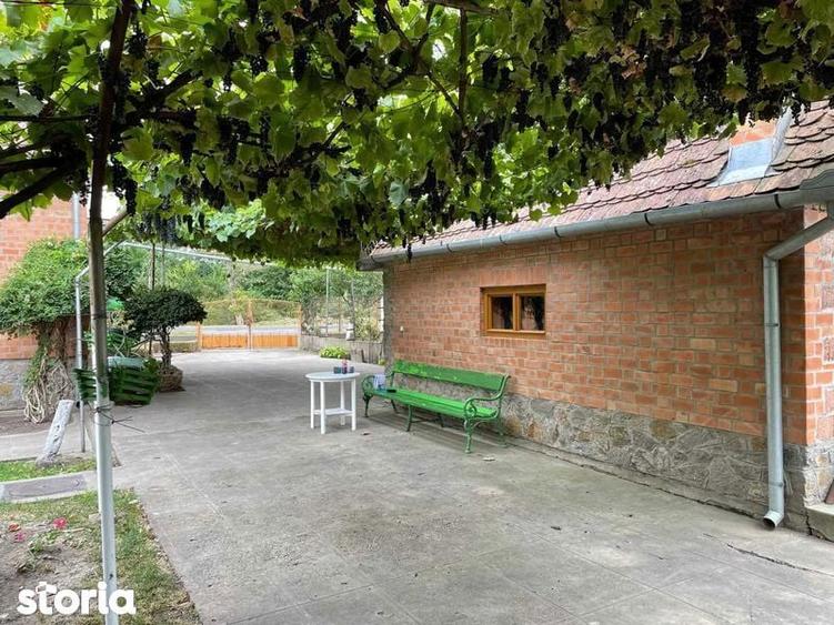 Casa, spatiu comercial, vad comercial, 7000 m2 - 3