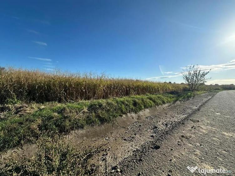 C/1508 De vanzare teren in Mure? - Santana de Mure? - 1